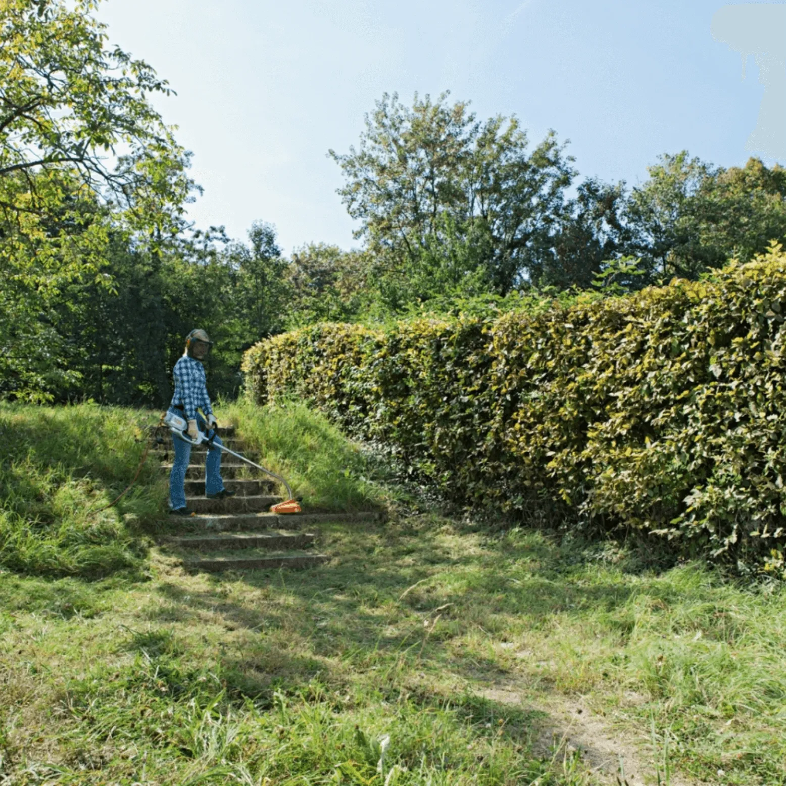 Stihl FSE 81 Elektrische Graskantenmaaier